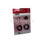 RETENEDOR DE CAMBIOS (SET) PULSAR 180"