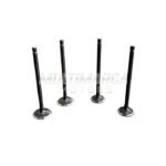 VALVULA ESCAPE RTR200