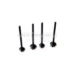 VALVULAS DISCOVER 100