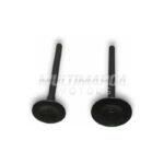 VALVULA ADMISION TVS 100